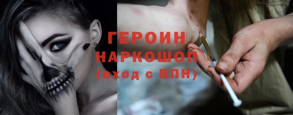 прущие грибы Абаза