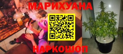 гидропоника Ярославль