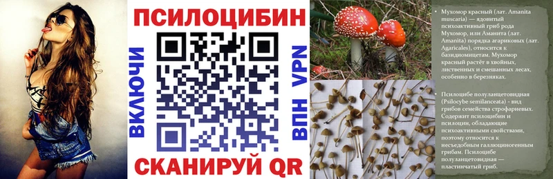 Псилоцибиновые грибы MAGIC MUSHROOMS  Богданович 