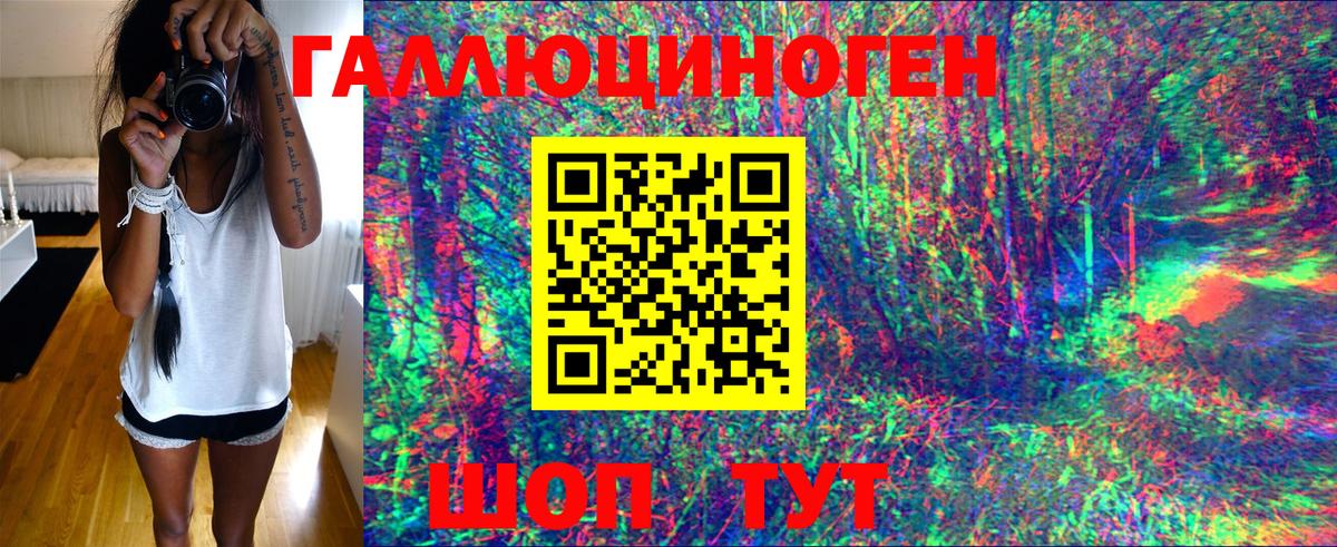 Богданович  Галлюциногенные грибы Psilocybe  Вход с VPN 