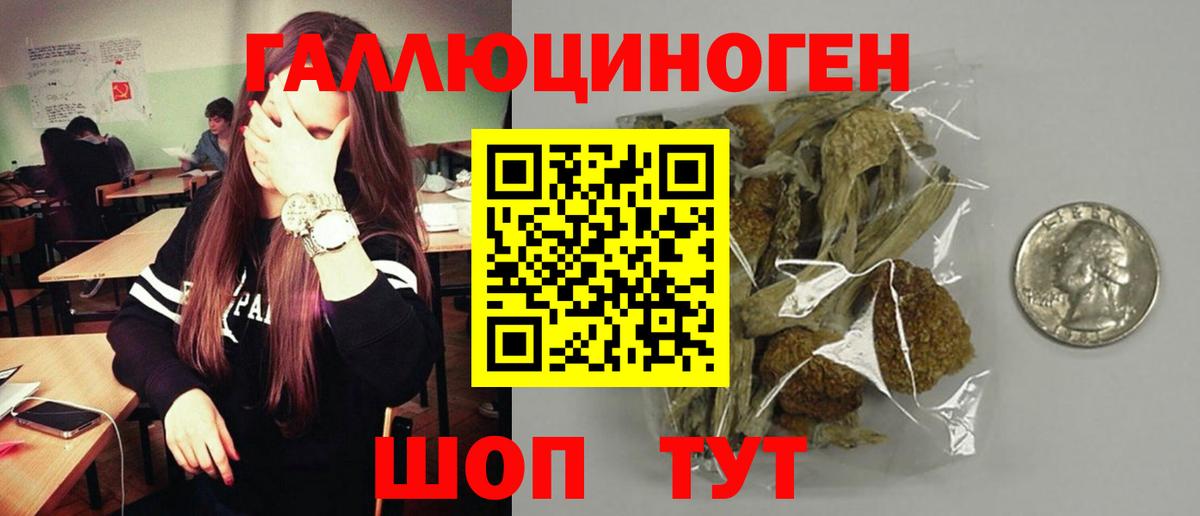 Псилоцибиновые грибы Psilocybe Богданович