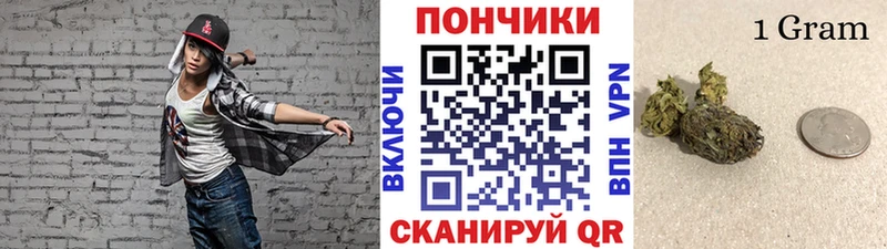 Бошки марихуана конопля  Богданович 